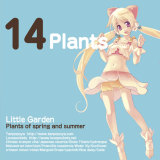 LittleGarden-Plants of spring and summer-