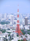 東京を一望 東京を一望
